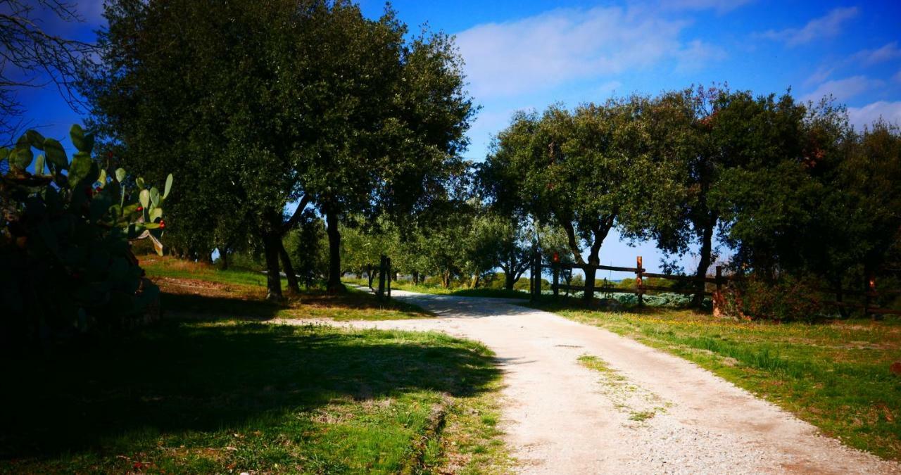 Agriturismo Baratti Exteriér fotografie