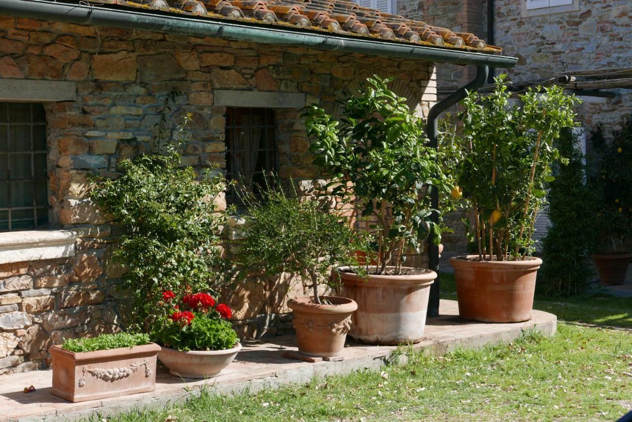 Agriturismo Baratti Exteriér fotografie
