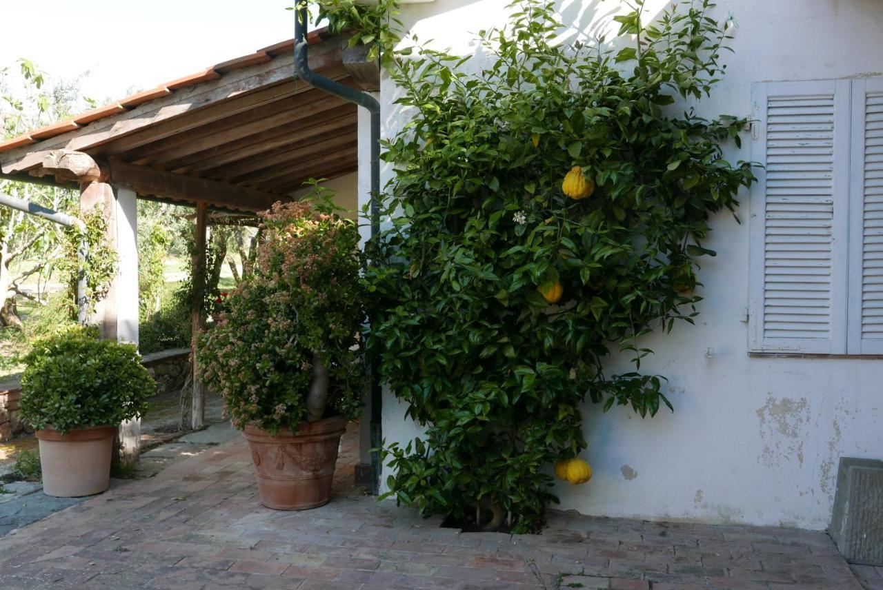 Agriturismo Baratti Exteriér fotografie